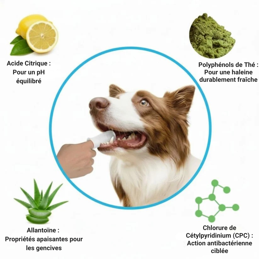 HydroWipes Kit – Kit Anti-Tartre