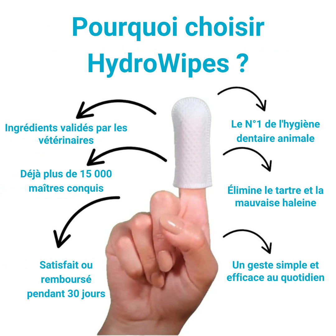 HydroWipes Kit – Kit Anti-Tartre