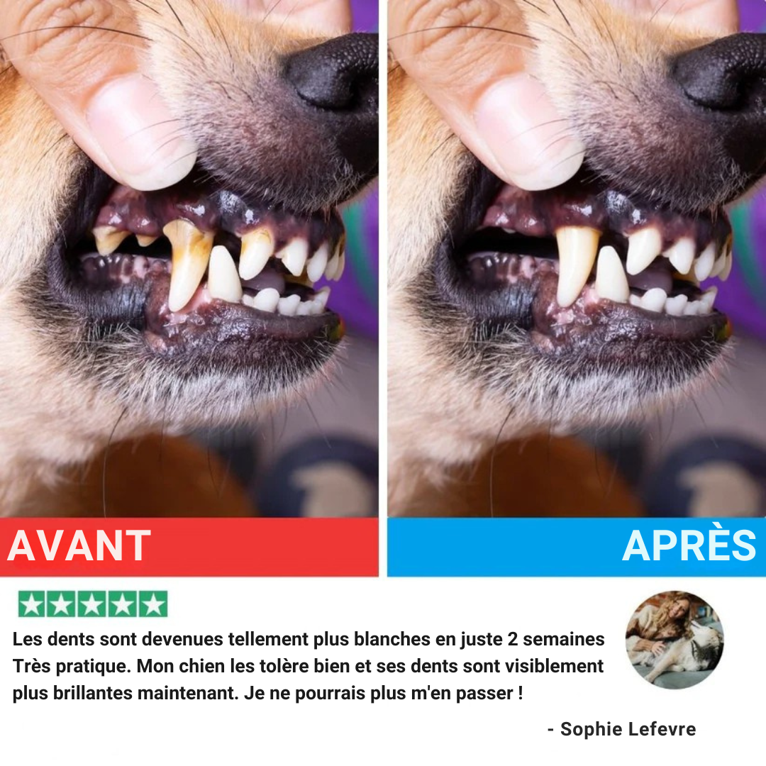 HydroWipes Kit – Kit Anti-Tartre